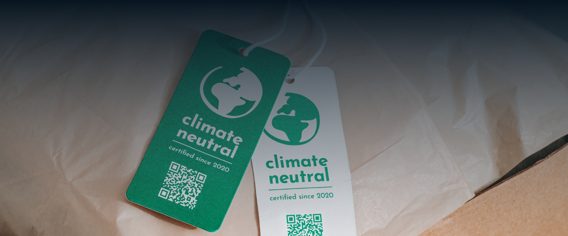 What is the Difference between Carbon Neutral and Net Zero